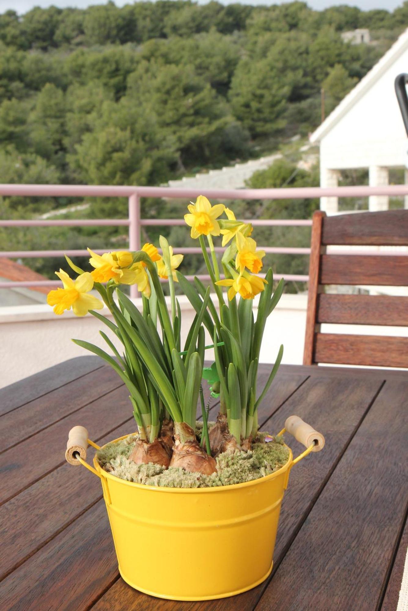 Villa Stella 트로기르 객실 사진